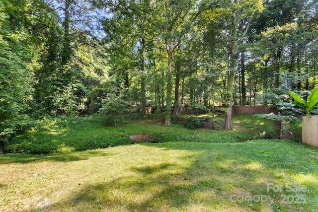6515 Santa Cruz Trl, Charlotte, NC 28227 - photo 32