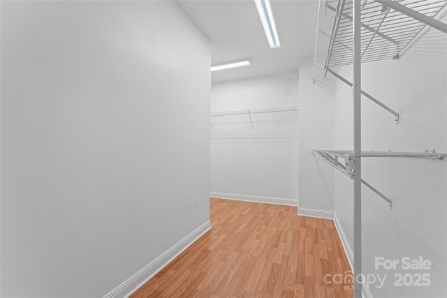 8000 Pelorus Ln, Charlotte, NC 28269 - photo 22