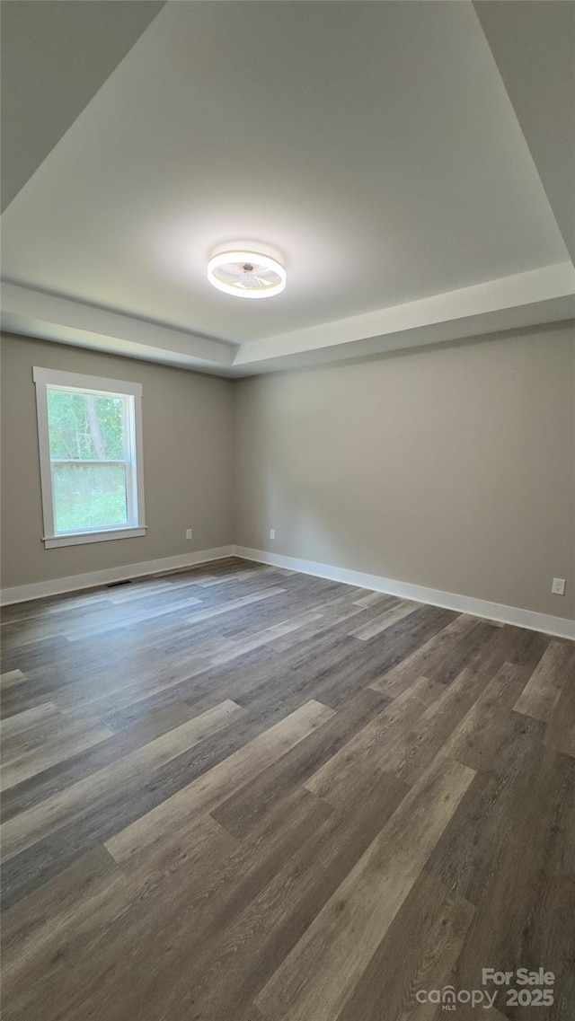 440 Brown Acres Rd, Salisbury, NC 28146 - spare room with dark wood-type flooring and a raised ceiling