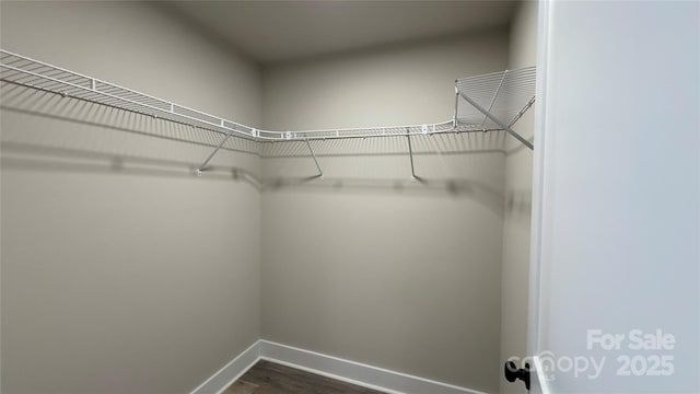 440 Brown Acres Rd, Salisbury, NC 28146 - spacious closet featuring dark wood-style flooring