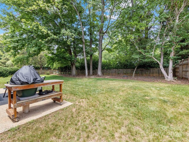 1115 Berry Ridge Rd, Charlotte, NC 28270 - photo 34