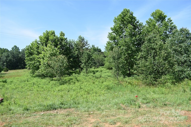 960 Johnson Rd, Columbus, NC 28722 - view of local wilderness