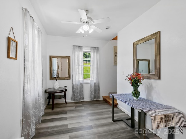 186 Wiggins Rd Unit B, Candler, NC 28715 - photo 10