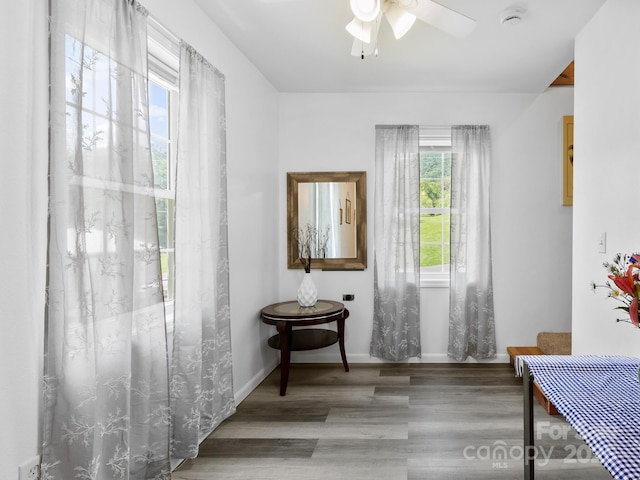 186 Wiggins Rd Unit B, Candler, NC 28715 - photo 11