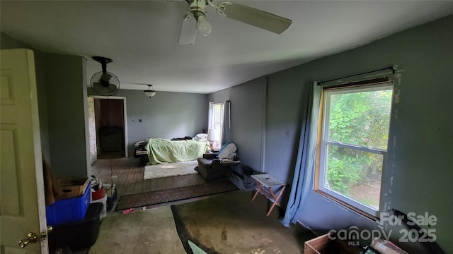 160 Cleveland Rd, Tryon, NC 28782 - bedroom with multiple windows and ceiling fan