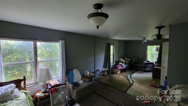 160 Cleveland Rd, Tryon, NC 28782 - living area with a ceiling fan