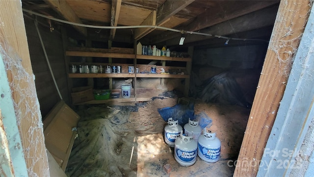 160 Cleveland Rd, Tryon, NC 28782 - view of storage area
