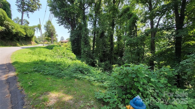 160 Cleveland Rd, Tryon, NC 28782 - view of asphalt street