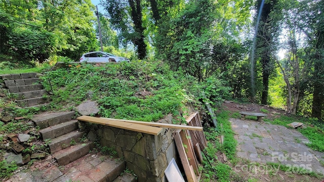 160 Cleveland Rd, Tryon, NC 28782 - view of yard