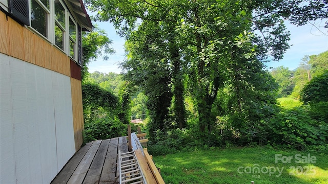 160 Cleveland Rd, Tryon, NC 28782 - view of grassy yard