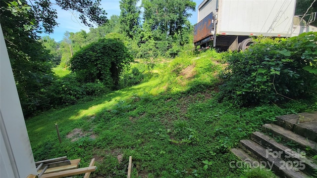 160 Cleveland Rd, Tryon, NC 28782 - view of yard