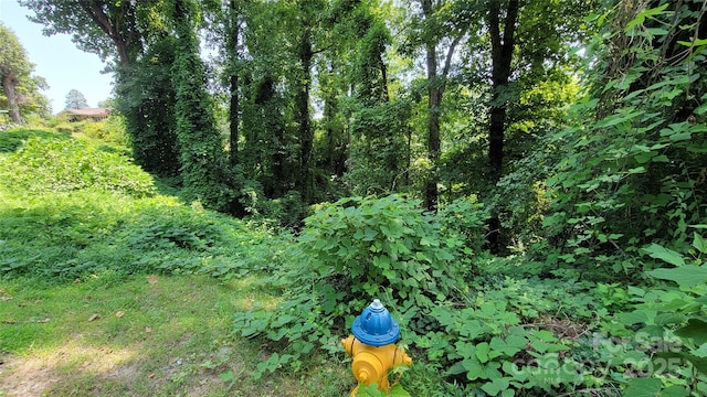 160 Cleveland Rd, Tryon, NC 28782 - view of local wilderness