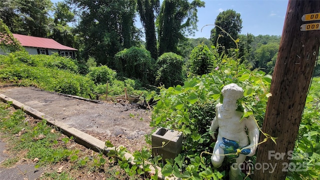 160 Cleveland Rd, Tryon, NC 28782 - view of yard
