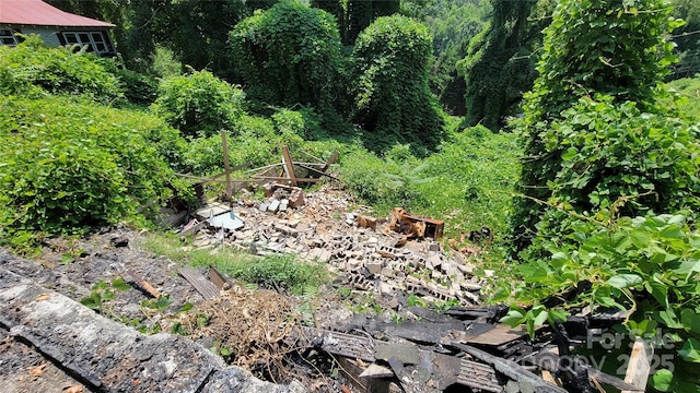 160 Cleveland Rd, Tryon, NC 28782 - view of nature