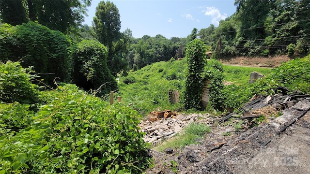 160 Cleveland Rd, Tryon, NC 28782 - view of undeveloped land
