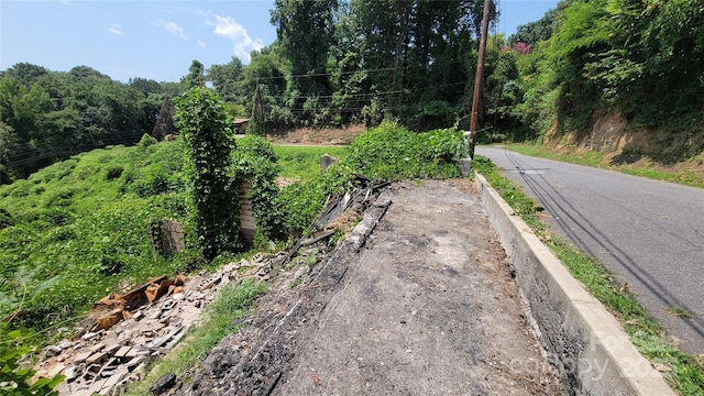 160 Cleveland Rd, Tryon, NC 28782 - view of asphalt road