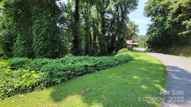 160 Cleveland Rd, Tryon, NC 28782 - view of street