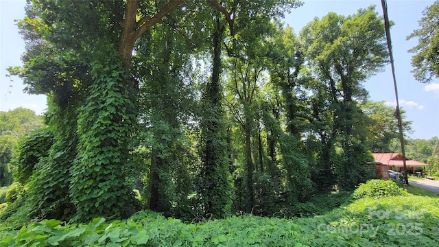 160 Cleveland Rd, Tryon, NC 28782 - view of nature