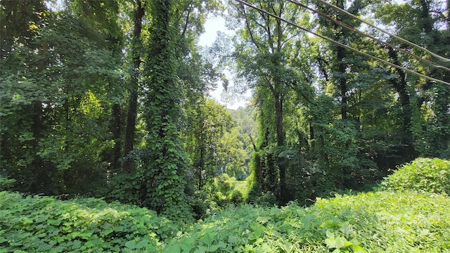 160 Cleveland Rd, Tryon, NC 28782 - view of tree filled area