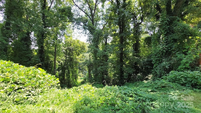 160 Cleveland Rd, Tryon, NC 28782 - view of woods