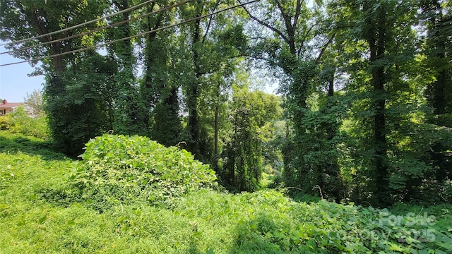 160 Cleveland Rd, Tryon, NC 28782 - view of undeveloped land