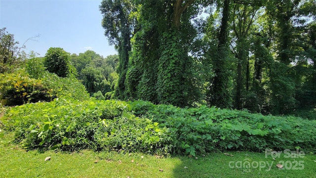 160 Cleveland Rd, Tryon, NC 28782 - view of wooded area