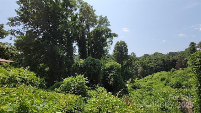 160 Cleveland Rd, Tryon, NC 28782 - view of tree filled area