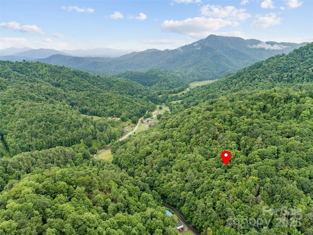 0 Holloway Rd, Green Mountain, NC 28740