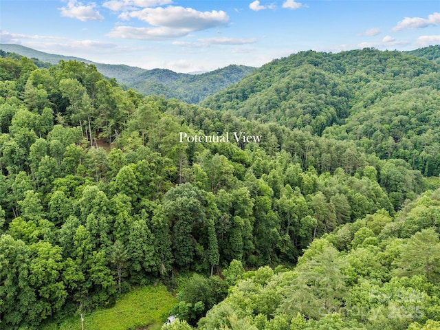 0 Holloway Rd, Green Mountain, NC 28740