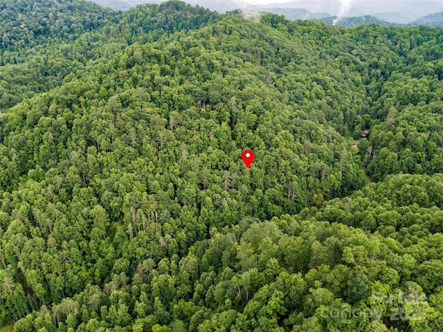 0 Holloway Rd, Green Mountain, NC 28740