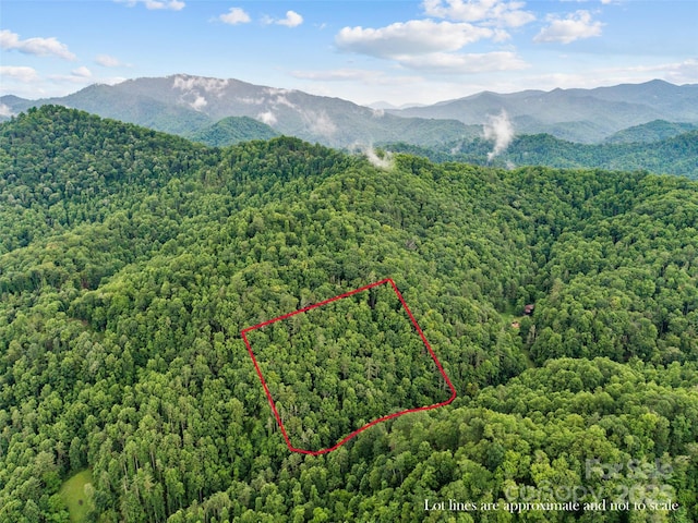 0 Holloway Rd, Green Mountain, NC 28740