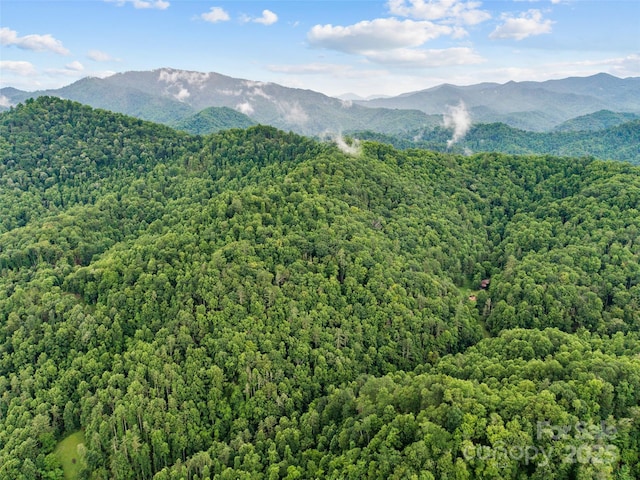 0 Holloway Rd, Green Mountain, NC 28740