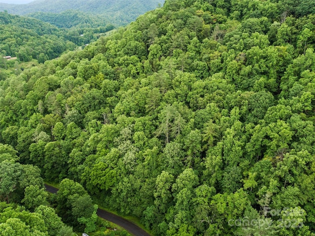 0 Holloway Rd, Green Mountain, NC 28740