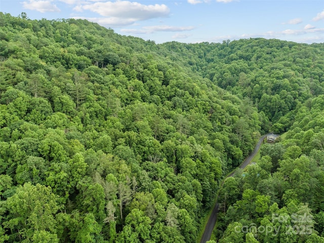 0 Holloway Rd, Green Mountain, NC 28740