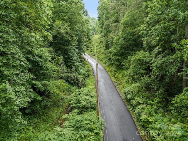 0 Holloway Rd, Green Mountain, NC 28740