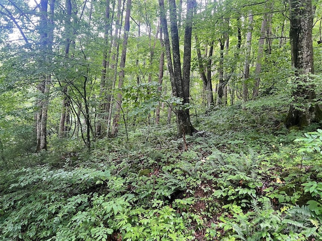 0 Holloway Rd, Green Mountain, NC 28740