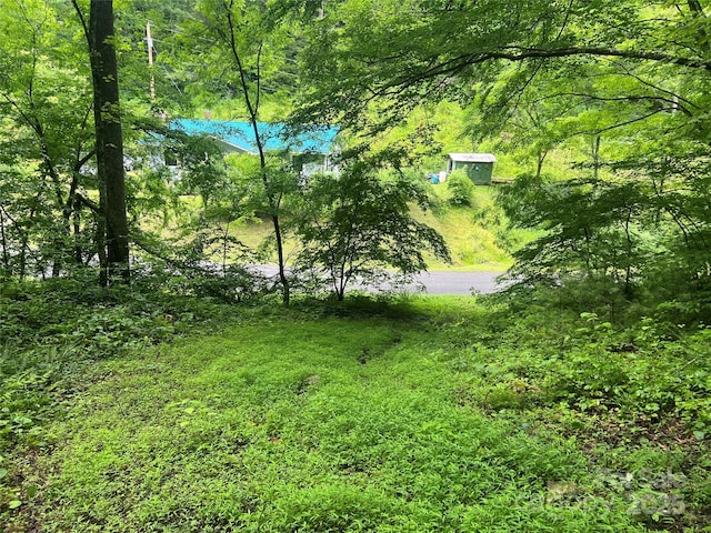 0 Holloway Rd, Green Mountain, NC 28740