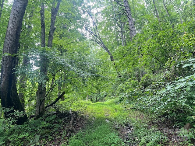 0 Holloway Rd, Green Mountain, NC 28740