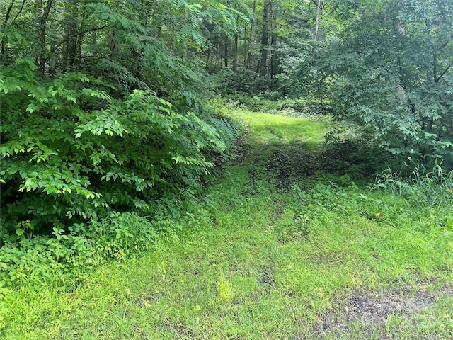 0 Holloway Rd, Green Mountain, NC 28740