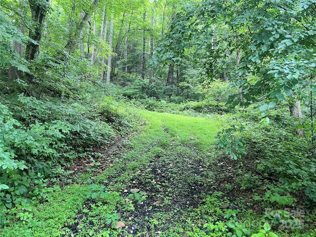 0 Holloway Rd, Green Mountain, NC 28740