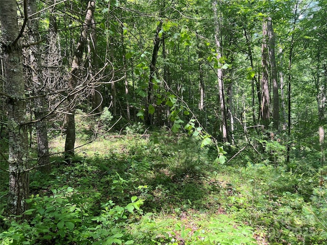 0 Holloway Rd, Green Mountain, NC 28740
