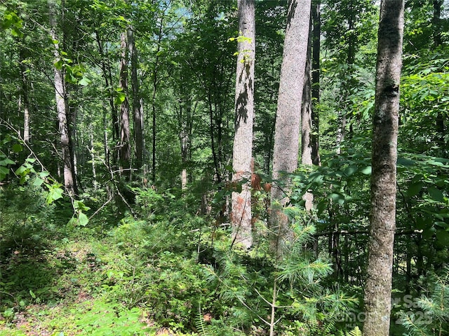 0 Holloway Rd, Green Mountain, NC 28740