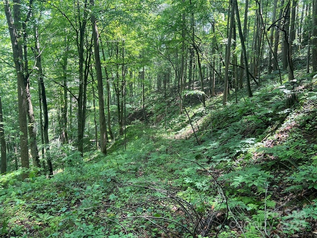 0 Holloway Rd, Green Mountain, NC 28740