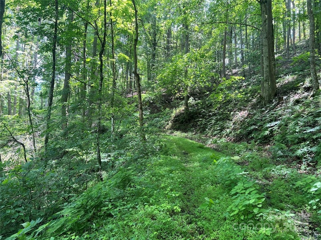 0 Holloway Rd, Green Mountain, NC 28740