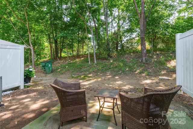 14755 Lions Paw St, Charlotte, NC 28273 - view of patio