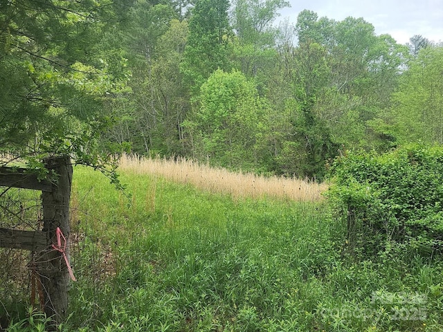TBD Loggy Hollow Rd, Bakersville, NC 28705