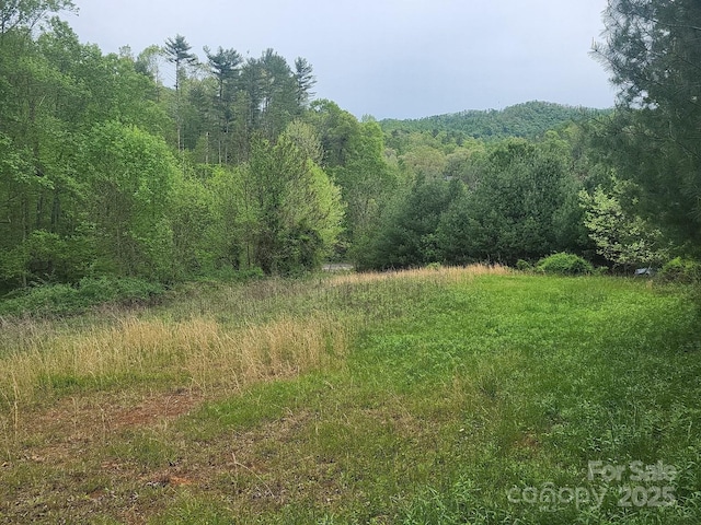 TBD Loggy Hollow Rd, Bakersville, NC 28705