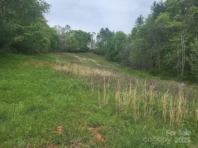 TBD Loggy Hollow Rd, Bakersville, NC 28705