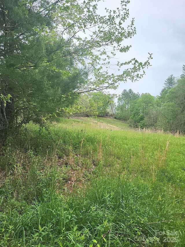 TBD Loggy Hollow Rd, Bakersville, NC 28705