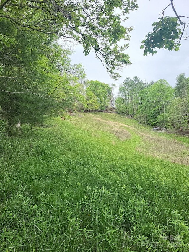 TBD Loggy Hollow Rd, Bakersville, NC 28705